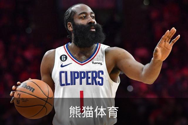 熊猫体育公司简介配图